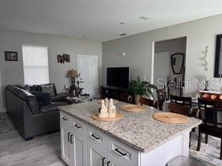 4043 SW 156th Pl, Ocala, FL 34473 - kitchen featuring open floor plan, white cabinets, and light wood-type flooring