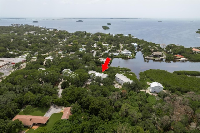 556 Ryans Woods Ln, Palm Harbor, FL 34683 - photo 2