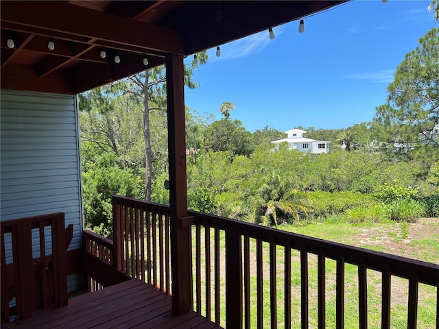 556 Ryans Woods Ln, Palm Harbor, FL 34683 - photo 13