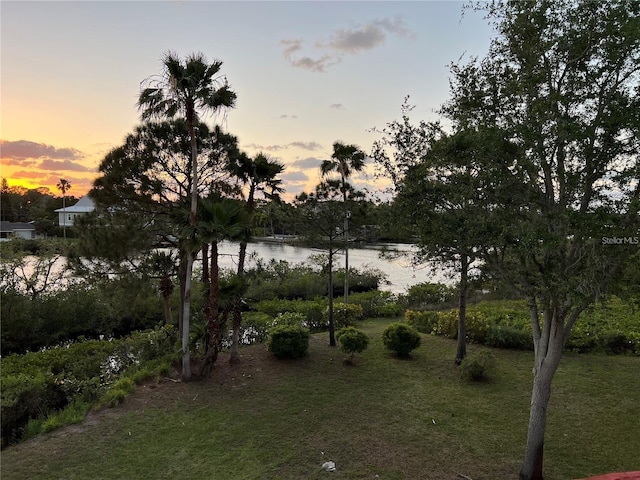 556 Ryans Woods Ln, Palm Harbor, FL 34683 - photo 16