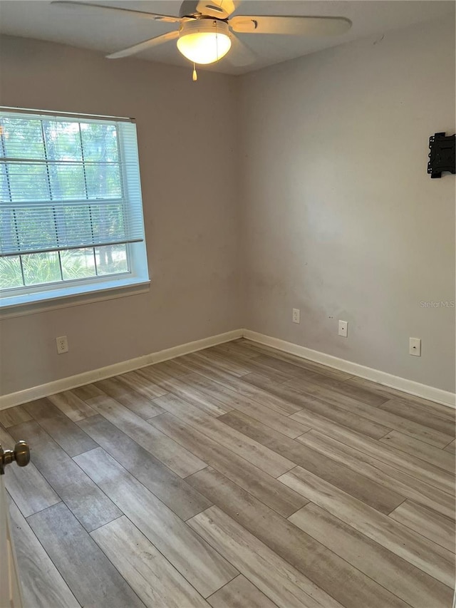 556 Ryans Woods Ln, Palm Harbor, FL 34683 - photo 32