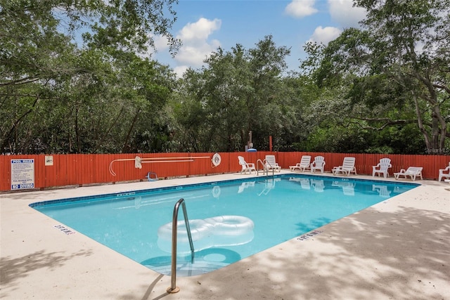 556 Ryans Woods Ln, Palm Harbor, FL 34683 - photo 37