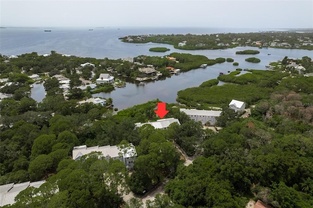 556 Ryans Woods Ln, Palm Harbor, FL 34683 - photo 42
