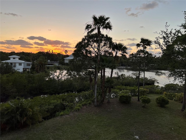556 Ryans Woods Ln, Palm Harbor, FL 34683 - photo 43