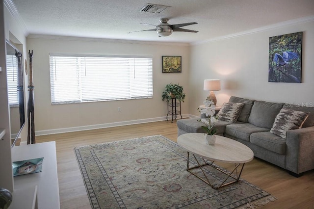 13 Harbor Woods Dr, Safety Harbor, FL 34695 - photo 4