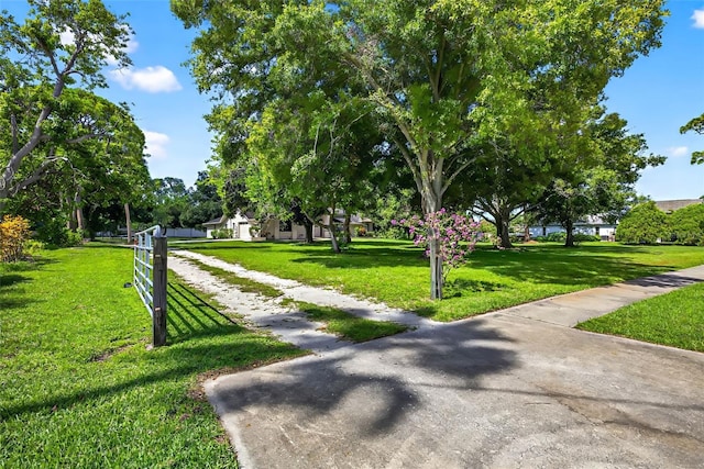 6320 66th Ave N, Pinellas Park, FL 33781 - photo 3