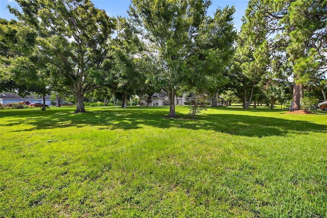 6320 66th Ave N, Pinellas Park, FL 33781 - photo 4