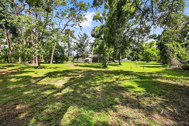 6320 66th Ave N, Pinellas Park, FL 33781 - photo 9