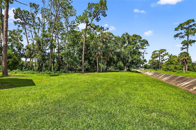 6320 66th Ave N, Pinellas Park, FL 33781 - photo 10