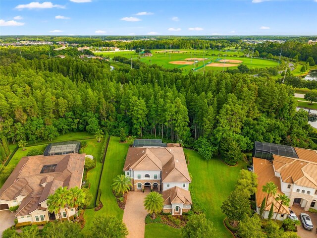 1507 Amarone Pl, Lutz, FL 33548 - drone / aerial view