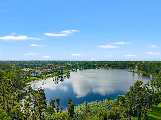1507 Amarone Pl, Lutz, FL 33548 - water view with a forest