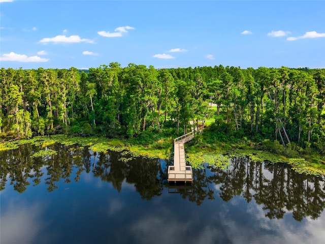 1507 Amarone Pl, Lutz, FL 33548 - water view with a heavily wooded area and a dock