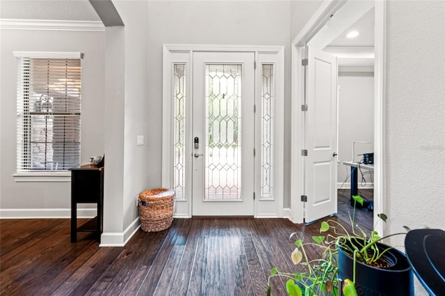 1507 Amarone Pl, Lutz, FL 33548 - entrance foyer featuring ornamental molding and wood-type flooring