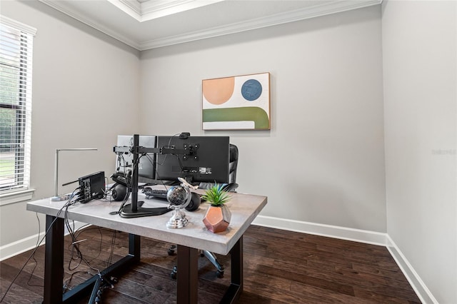 1507 Amarone Pl, Lutz, FL 33548 - office area with ornamental molding and wood finished floors