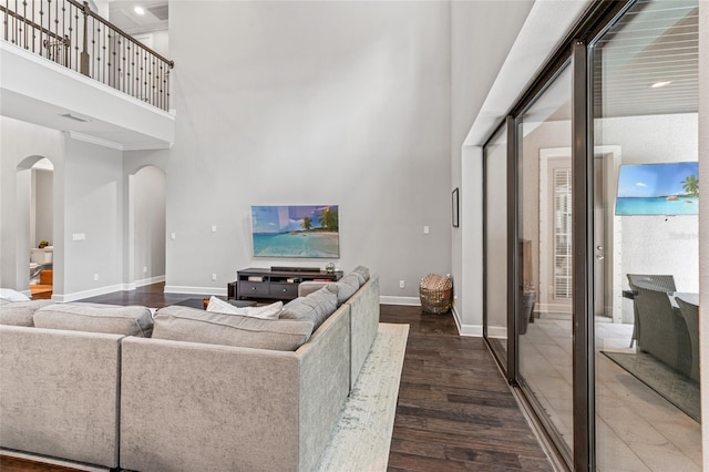 1507 Amarone Pl, Lutz, FL 33548 - living room featuring arched walkways, a towering ceiling, and wood finished floors