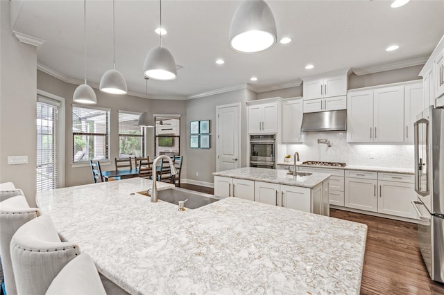 1507 Amarone Pl, Lutz, FL 33548 - kitchen with a center island with sink, under cabinet range hood, appliances with stainless steel finishes, dark wood-style floors, and white cabinets