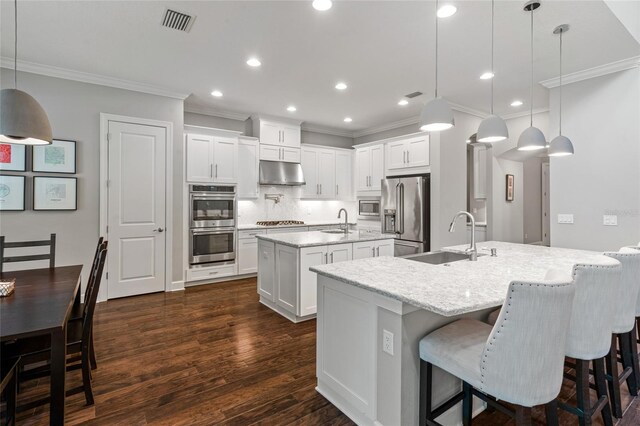 1507 Amarone Pl, Lutz, FL 33548 - kitchen with a center island with sink, stainless steel appliances, under cabinet range hood, ornamental molding, and tasteful backsplash