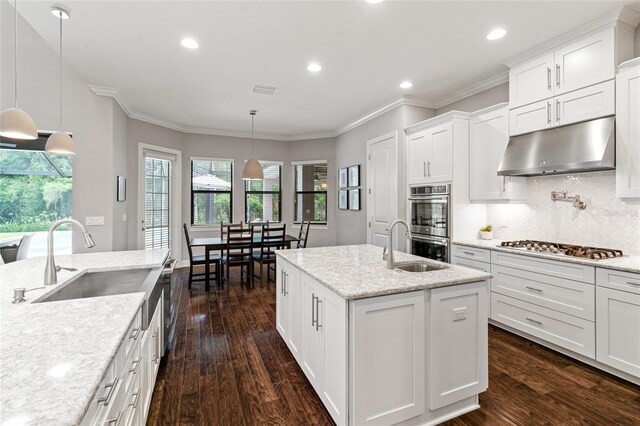 1507 Amarone Pl, Lutz, FL 33548 - kitchen featuring under cabinet range hood, appliances with stainless steel finishes, an island with sink, dark wood-style floors, and recessed lighting