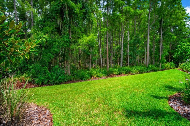 1507 Amarone Pl, Lutz, FL 33548 - view of grassy yard
