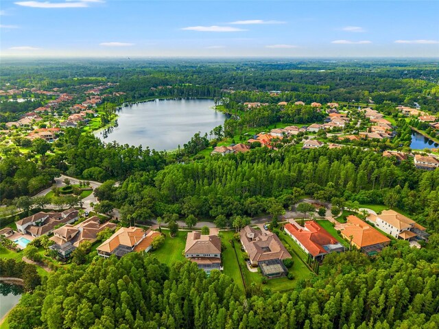 1507 Amarone Pl, Lutz, FL 33548 - aerial perspective of suburban area featuring a large body of water and a forest
