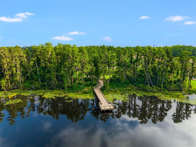 1507 Amarone Pl, Lutz, FL 33548 - water view featuring a heavily wooded area and a dock