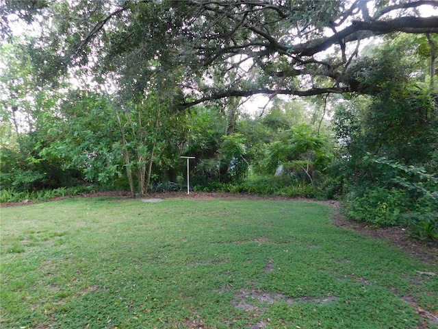 507 Francis Blvd, Lakeland, FL 33801 - view of green lawn
