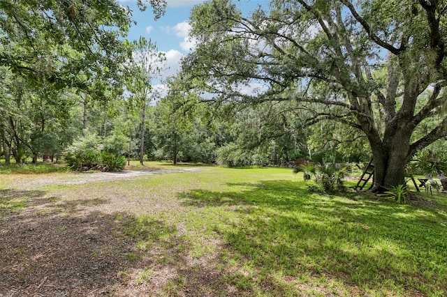 8229 Quail Hollow Blvd, Wesley Chapel, FL 33544 - photo 48