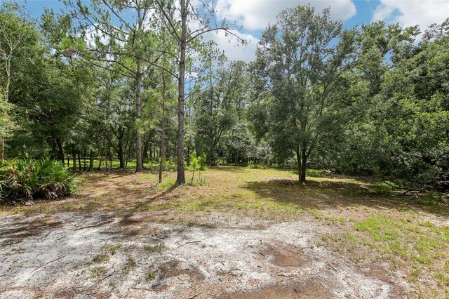 8229 Quail Hollow Blvd, Wesley Chapel, FL 33544 - photo 49