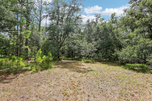8229 Quail Hollow Blvd, Wesley Chapel, FL 33544 - photo 52