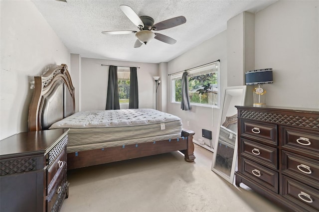 18812 Carr Dr, Lutz, FL 33559 - photo 29