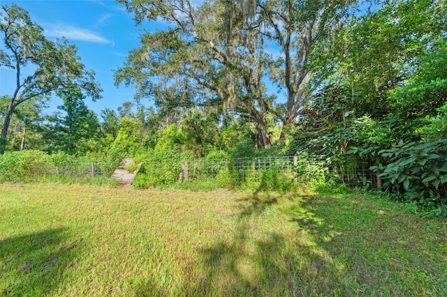 18812 Carr Dr, Lutz, FL 33559 - photo 38