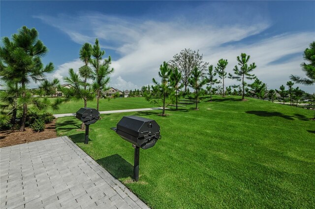 13639 Rangeland Blvd, Odessa, FL 33556 - photo 78