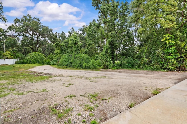 13002 E Wheeler Rd, Dover, FL 33527 - photo 17