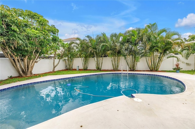 4540 Bayshore Blvd NE, Saint Petersburg, FL 33703 - photo 37