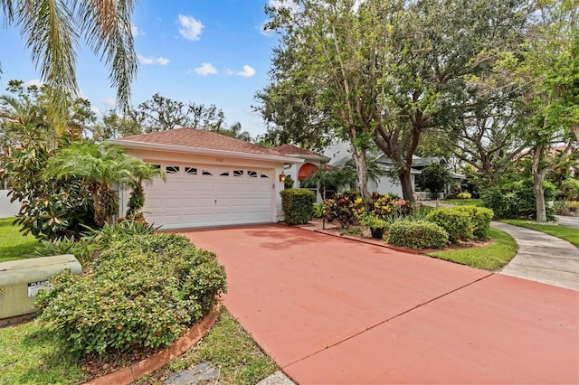 1160 Clippers Way, Tarpon Springs, FL 34689 - photo 2