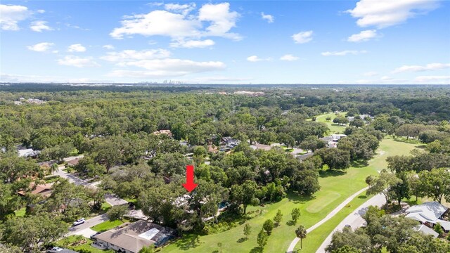 410 Montrose Ave, Temple Terrace, FL 33617 - photo 6