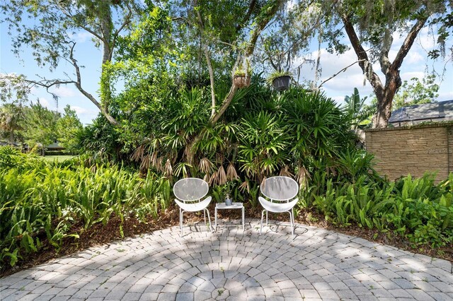 410 Montrose Ave, Temple Terrace, FL 33617 - photo 58