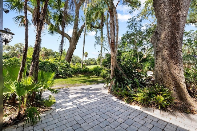 410 Montrose Ave, Temple Terrace, FL 33617 - photo 59