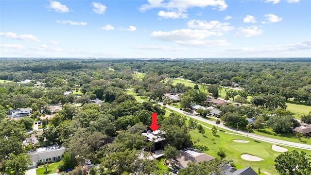 410 Montrose Ave, Temple Terrace, FL 33617 - photo 66