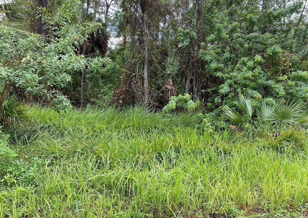 1372 Harvard St SW, Palm Bay, FL 32908