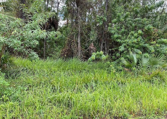 1372 Harvard St SW, Palm Bay, FL 32908