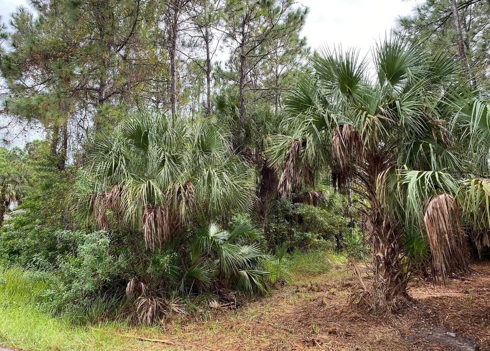 1372 Harvard St SW, Palm Bay, FL 32908