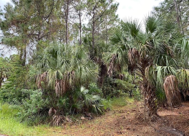 1372 Harvard St SW, Palm Bay, FL 32908