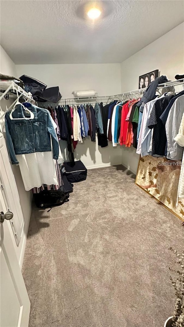 31363 Sun Kettle Loop, Wesley Chapel, FL 33545 - spacious closet with carpet flooring
