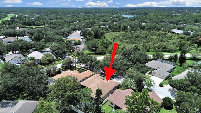19024 Dove Creek Dr, Tampa, FL 33647 - photo 4