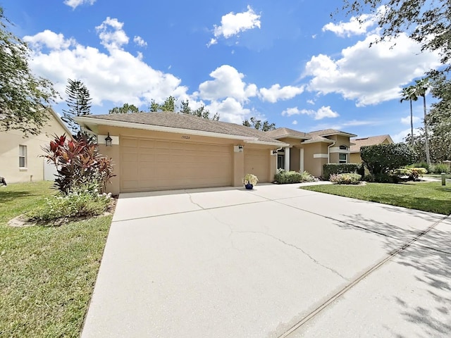 19024 Dove Creek Dr, Tampa, FL 33647 - photo 7