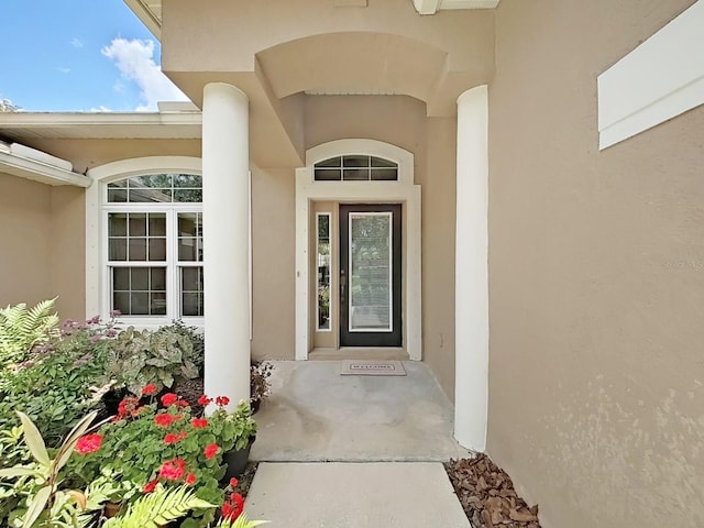 19024 Dove Creek Dr, Tampa, FL 33647 - photo 8
