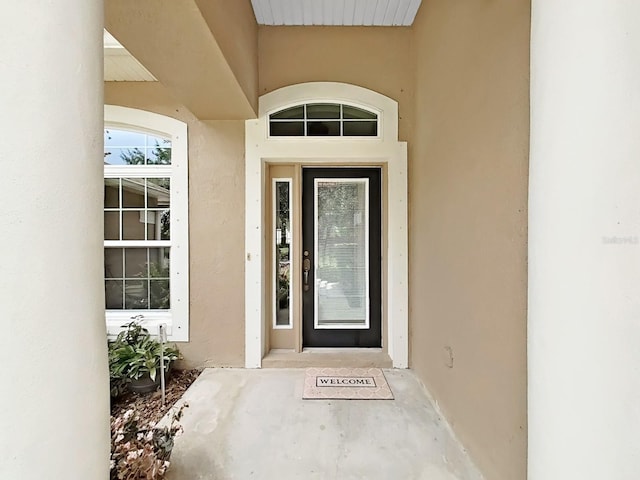 19024 Dove Creek Dr, Tampa, FL 33647 - photo 9
