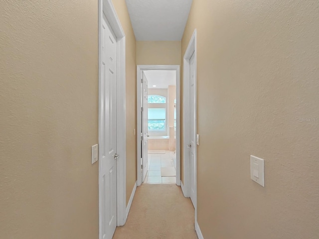 19024 Dove Creek Dr, Tampa, FL 33647 - photo 33