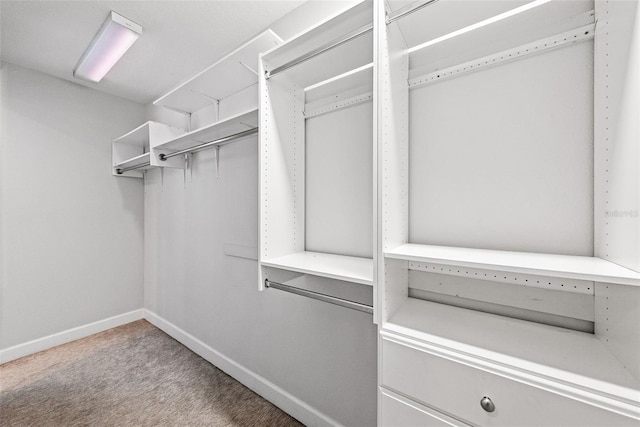 1332 W Gray St Unit 8, Tampa, FL 33606 - photo 22